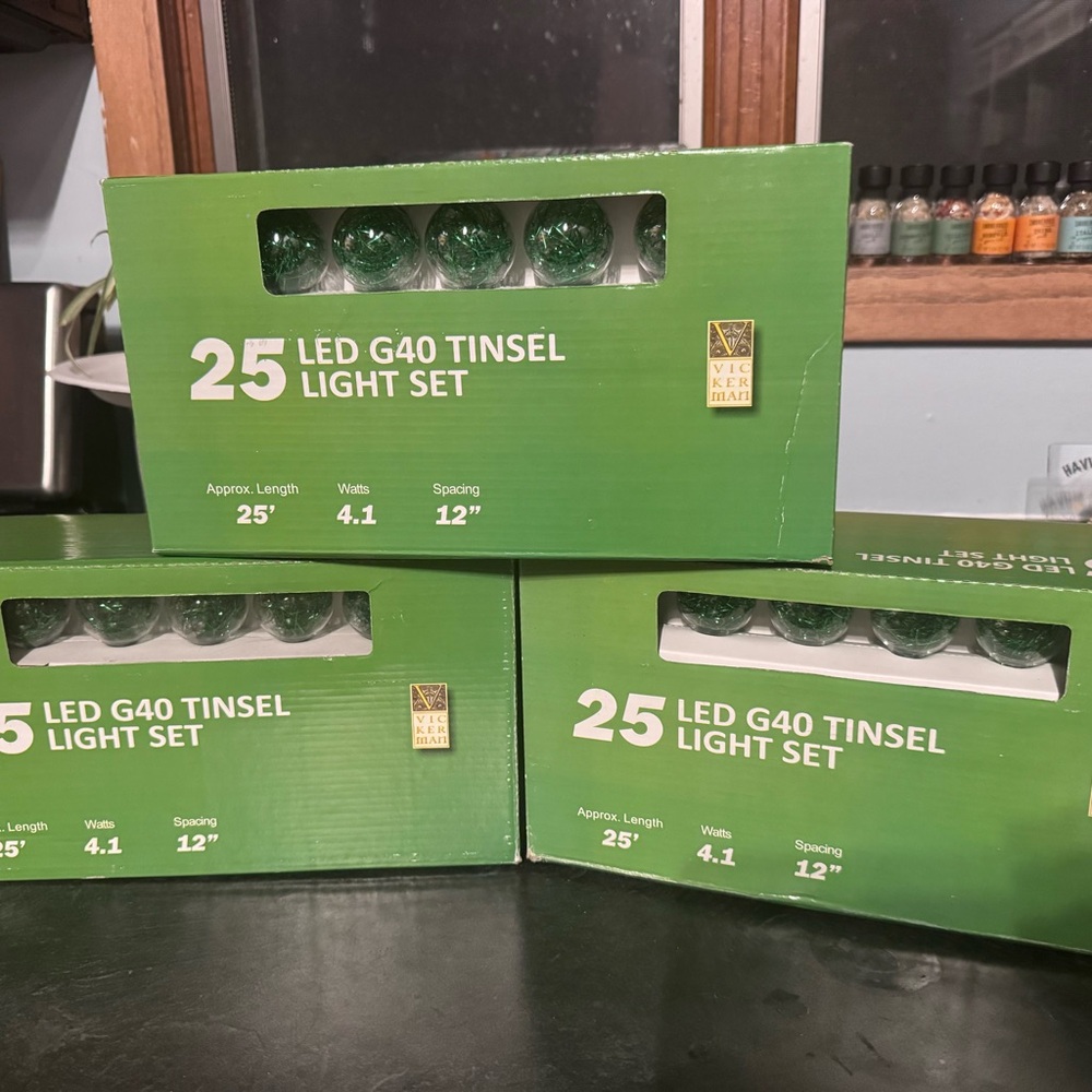 ☘️ Vickerman 25ft Green G40 LED Globe String Lights - BRAND NEW IN BOX ☘️